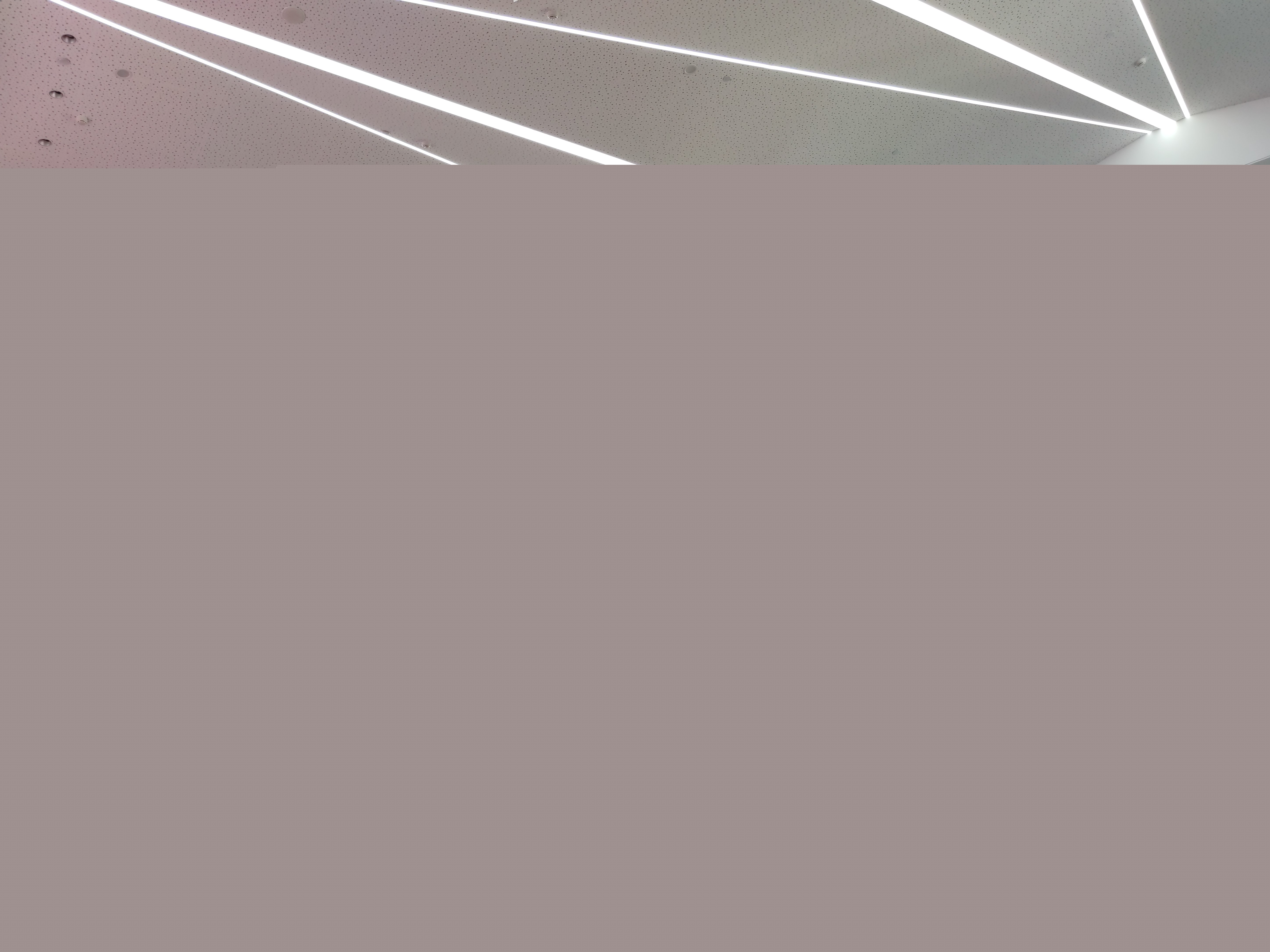 1613785569595987.jpg
