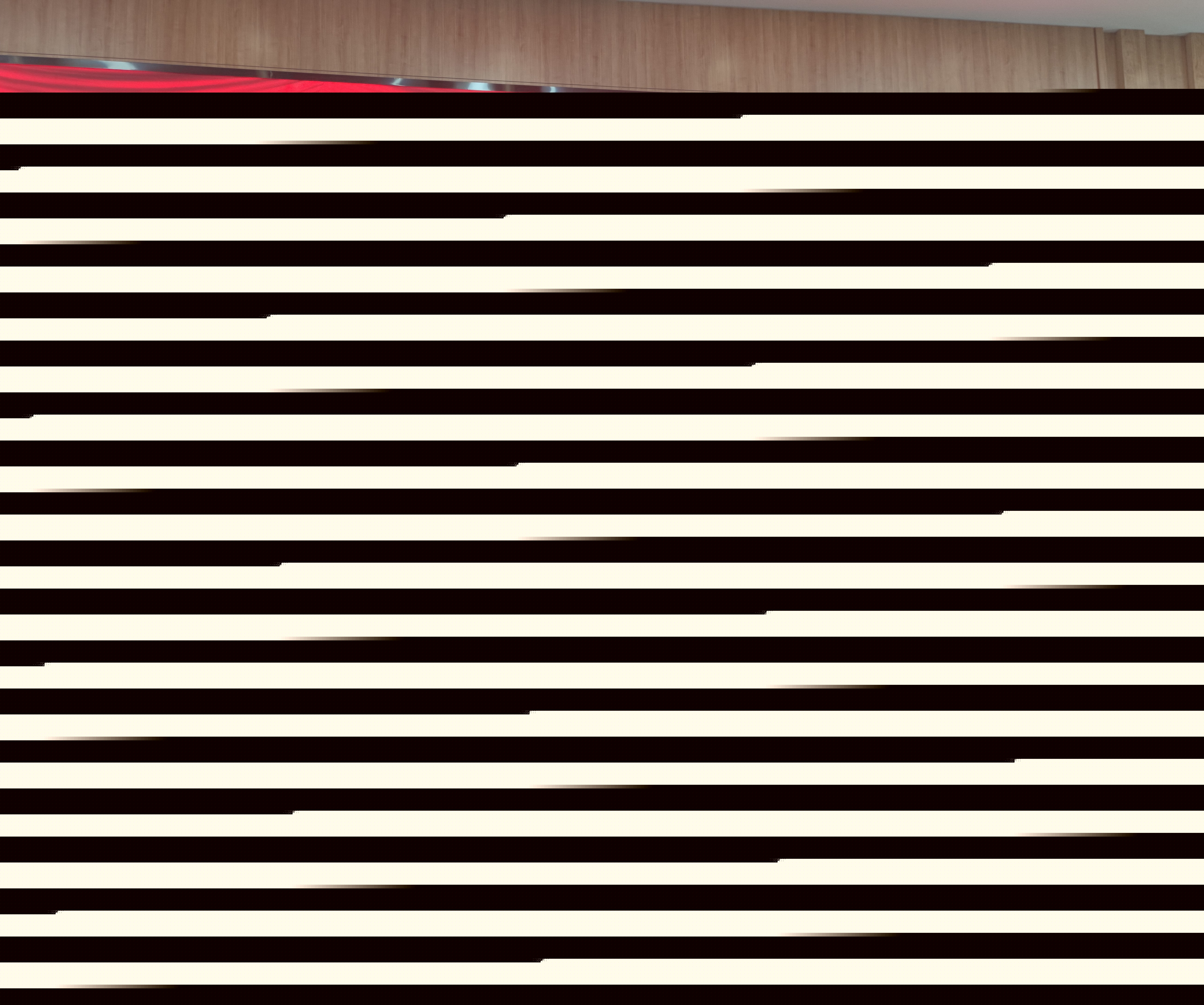 1613786246714040.jpg